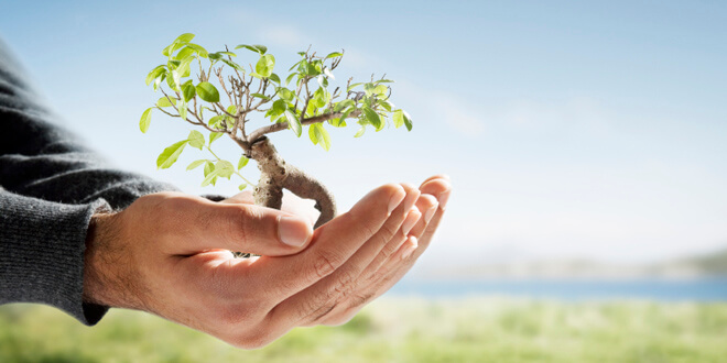 Consultoria ambiental e segurança do trabalho